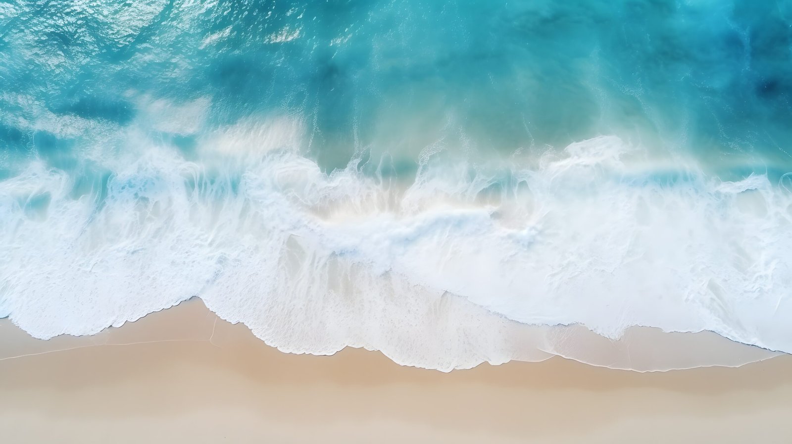 海岸生活